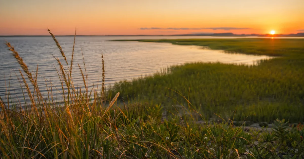 Delaware area scenery